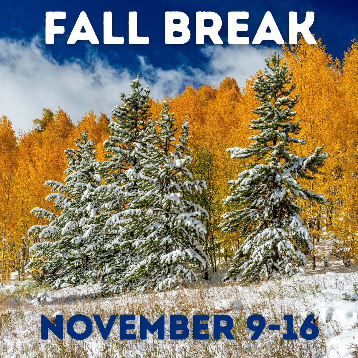 Fall Break26