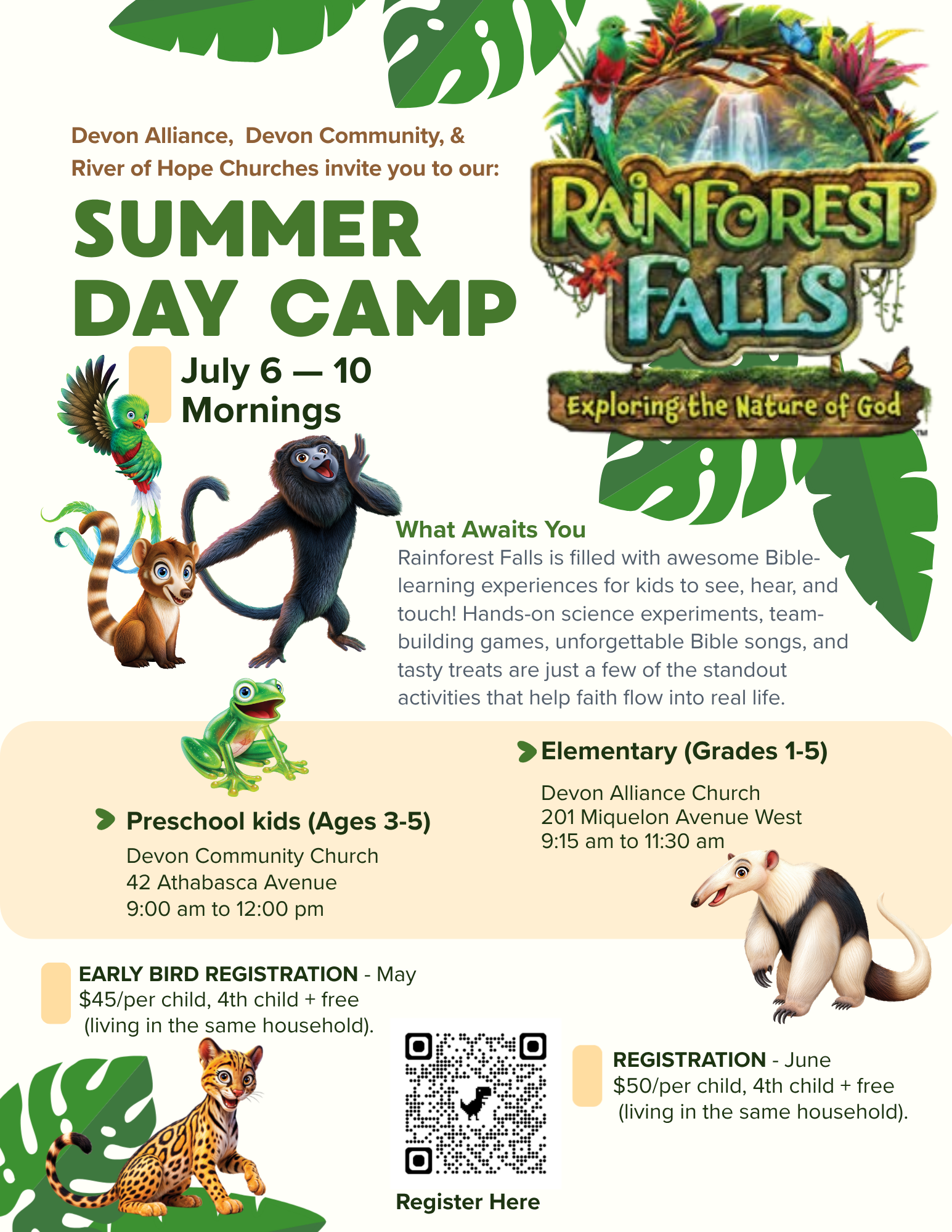 Rainforest Falls VBS July 2026