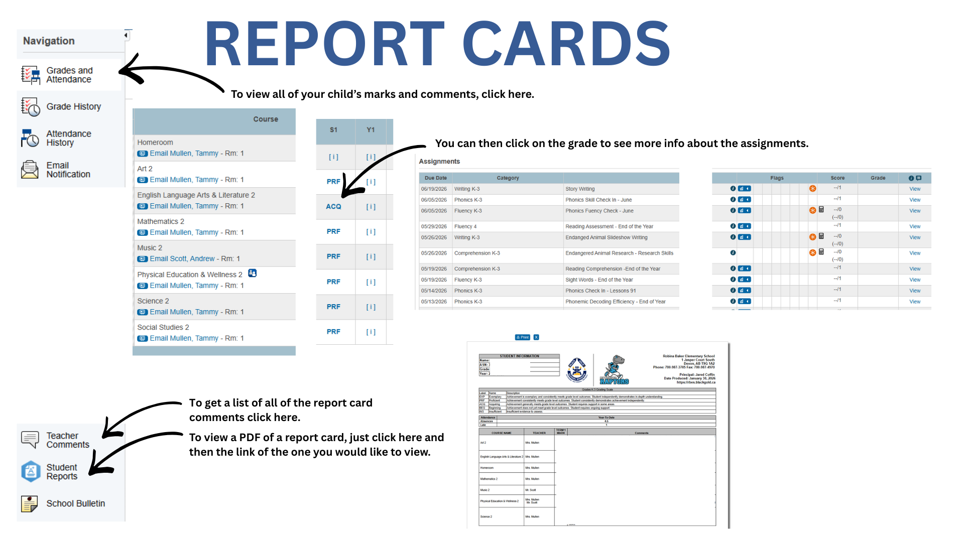 Report Card Info